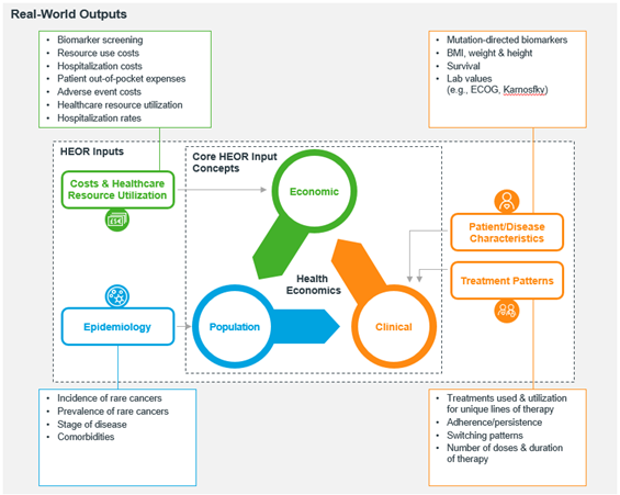 HEOR oncology modeling inputs and real-world outputs